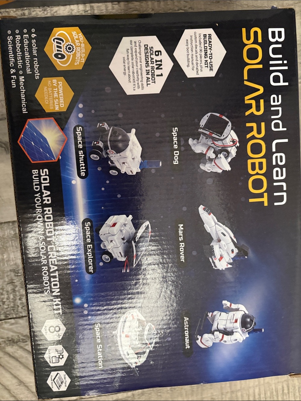 Stem - Picture 2 of 2